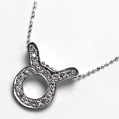 星座ネックレス おうし座