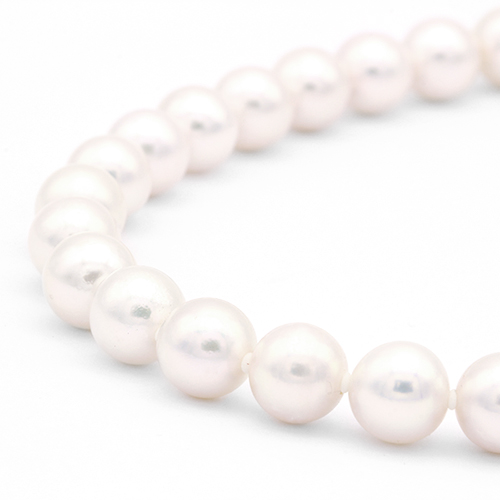 アコヤパールネックレス