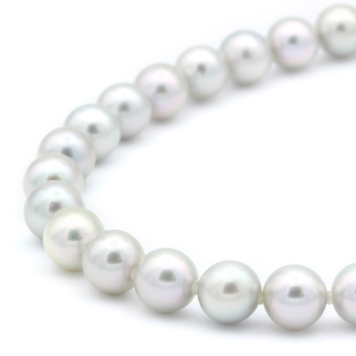 アコヤパールネックレス