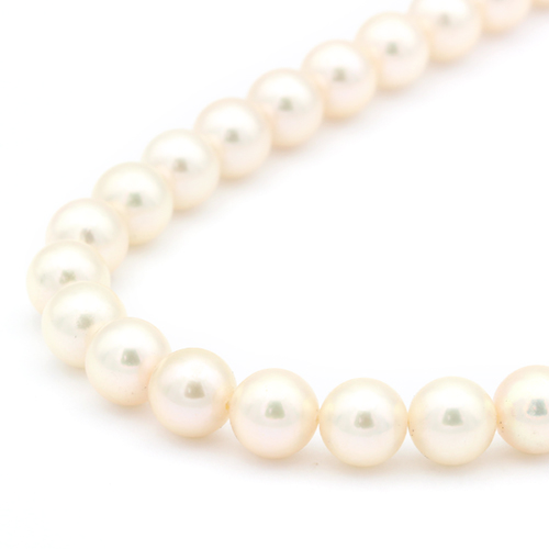 アコヤパールネックレス