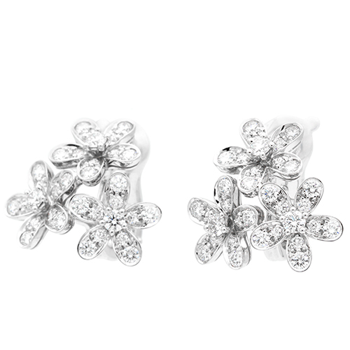 ソクラテスピアス